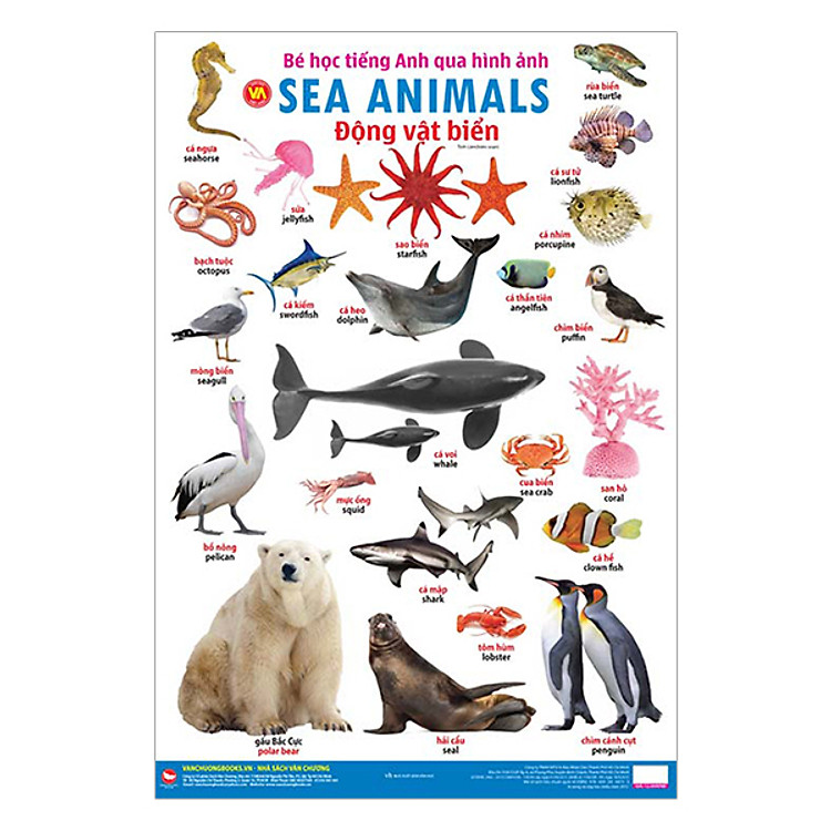 Sách Bé Học Tiếng Anh Qua Hình Ảnh - Động Vật Biển (Tái Bản)