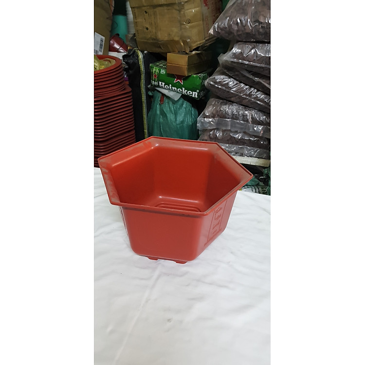 Chậu nhựa Bình Thuận LG20