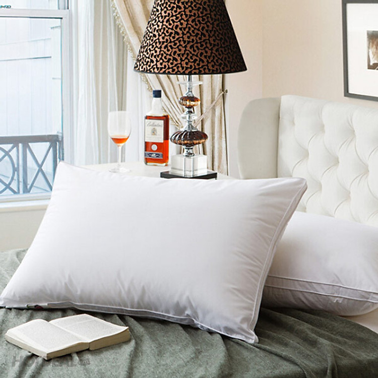 RUỘT GỐI NẰM 40X60