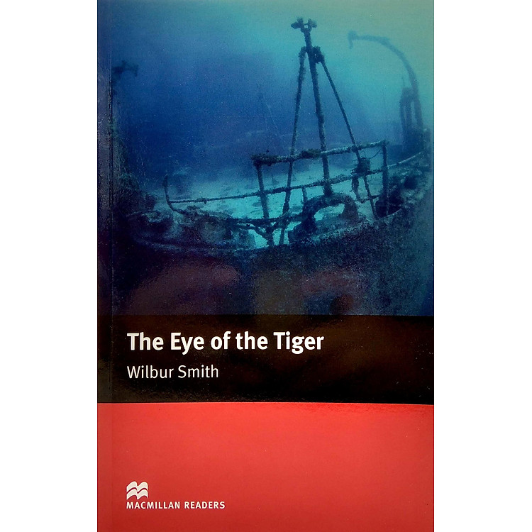 MR; Eye Of The Tiger Int - Ảnh 6