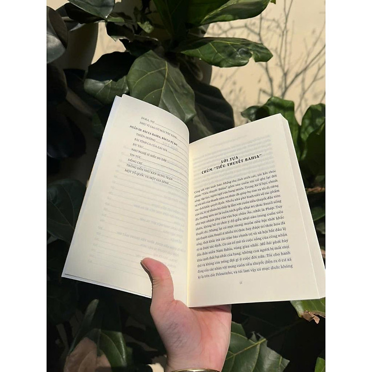 Những Thủ Lĩnh Triền Cát - Ảnh 3