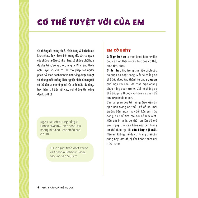 Tớ Muốn Biết Tuốt - Giải Phẫu Cơ Thể Người - Ảnh 4