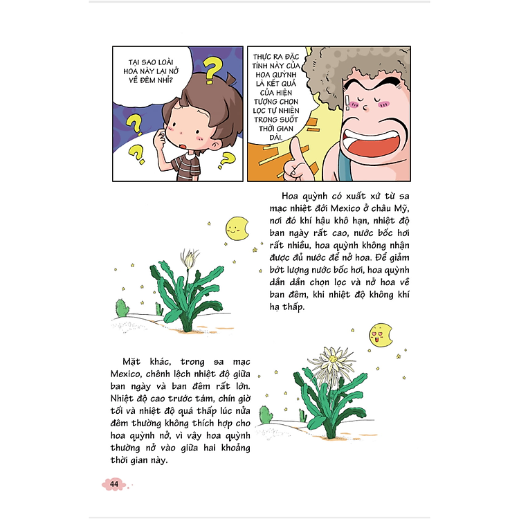10 Vạn Câu Hỏi Vì Sao - Khám Phá Thế Giới Thực Vật (Tái Bản 2018) - Ảnh 3