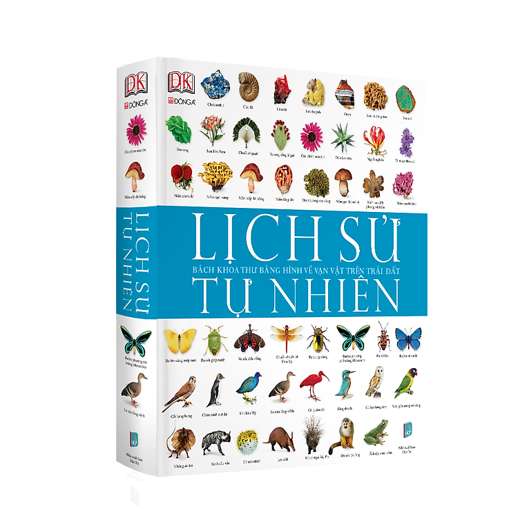 Tứ đại danh tác bằng hình - Ảnh 6