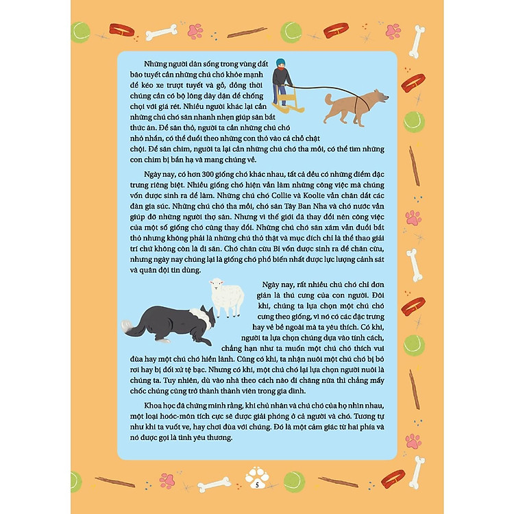 Những Câu Chuyện Về Loài Chó - Những Câu Chuyện Có Thật Về Các Chú Chó Anh Hùng - Ảnh 3