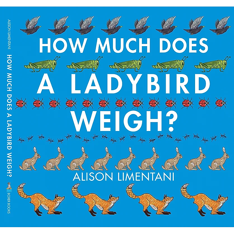 How Much Does A Ladybird Weigh? - Ảnh 2