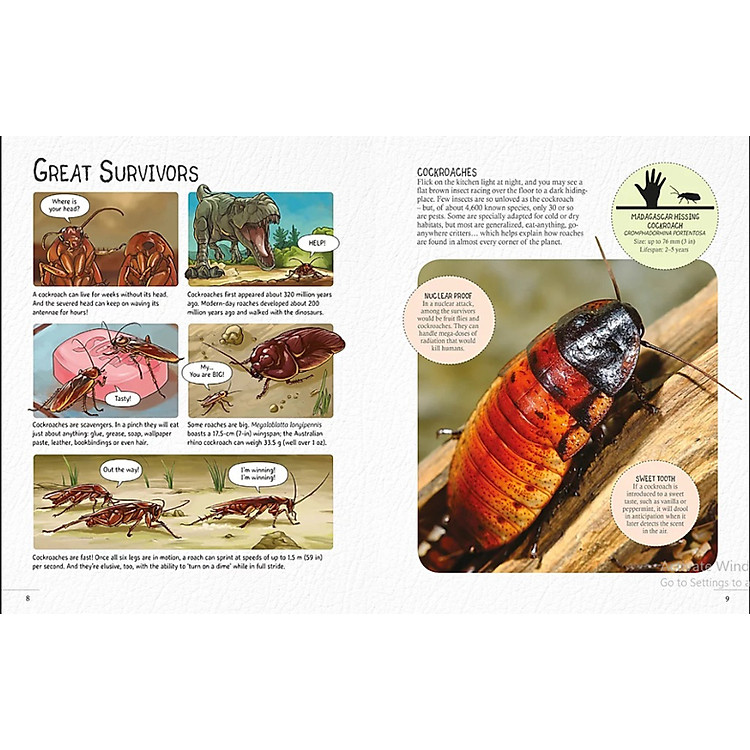 Record Breaking Bugs: Amazing Insects - Ảnh 2