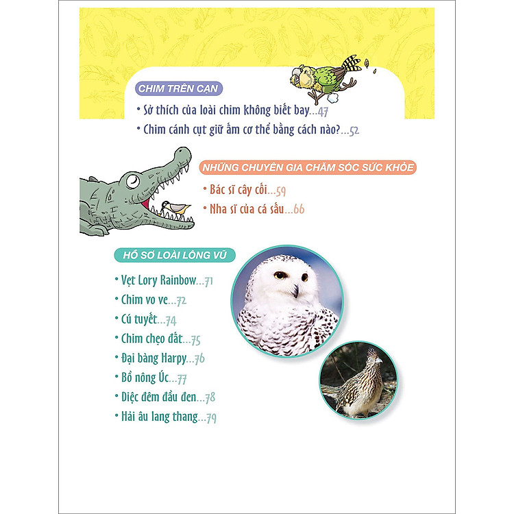 World Of Science - Những Bí Ẩn Về Loài Chim - Ảnh 7