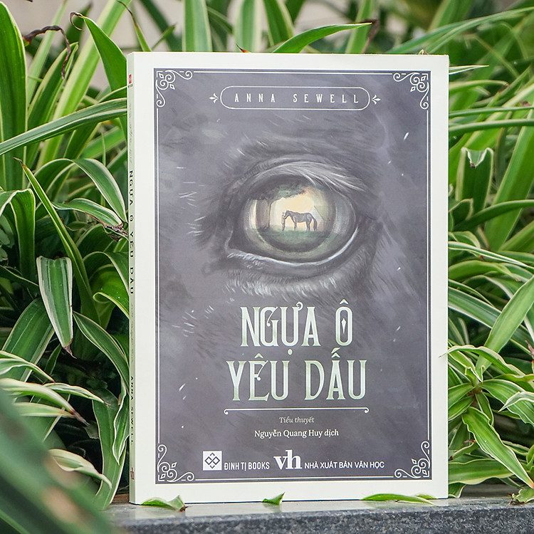 Ngựa Ô Yêu Dấu - Ảnh 5