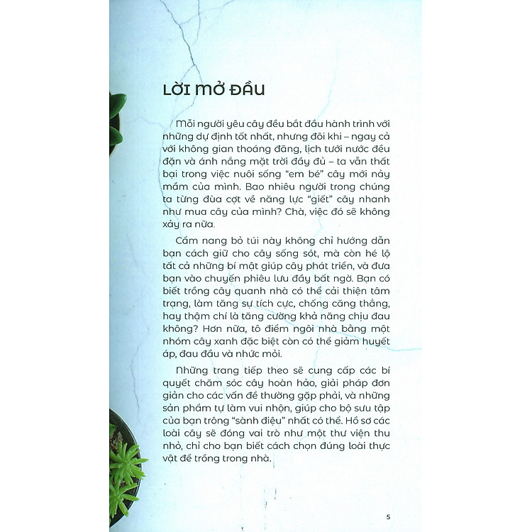 Bí Mật Nhỏ Cho Người Yêu Cây (Cẩm nang trồng và tạo hình cây cảnh) - Ảnh 4