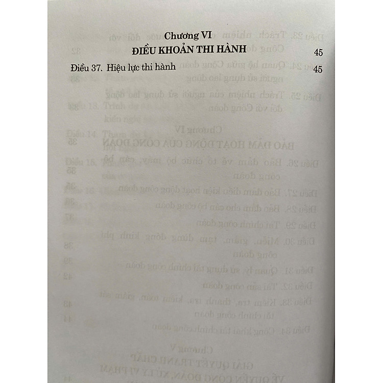 Luật Công Đoàn năm 2024 - Ảnh 6