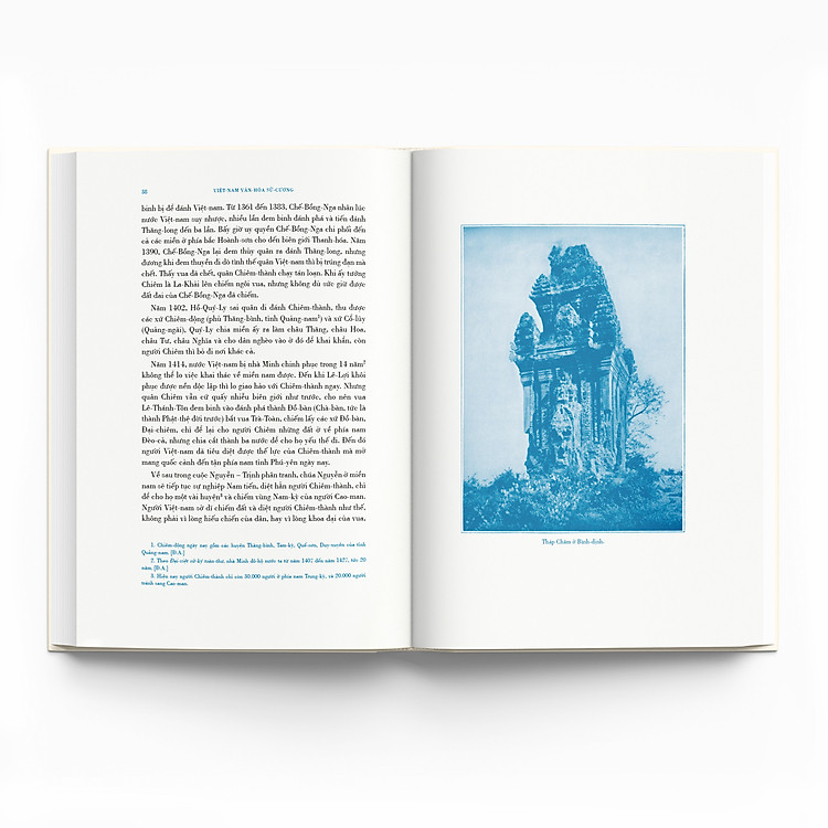 VIỆT NAM VĂN HOÁ SỬ CƯƠNG - Đào Duy Anh - Ảnh 6