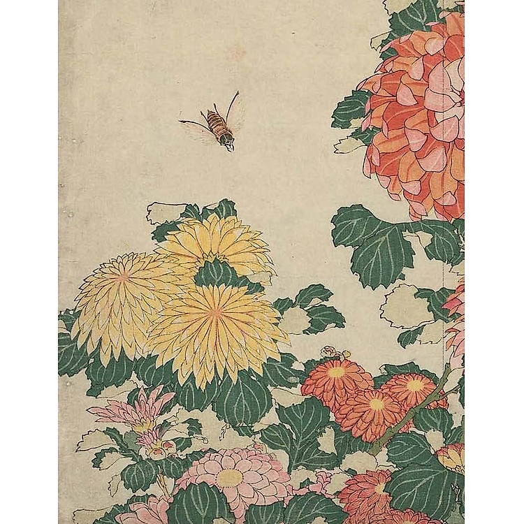 Sourdough - A Complete Guide And Recipe Book - Ảnh 5