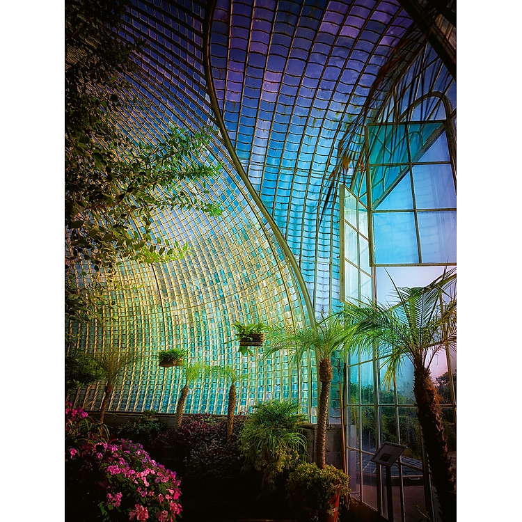 Greenhouses-Cathedrals For Plants - Ảnh 5