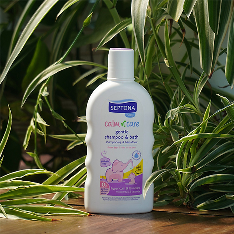 Mua Sữa tắm gội trẻ em Oải Hương SEPTONA Chính hãng Tiết kiệm - Hình ảnh 3