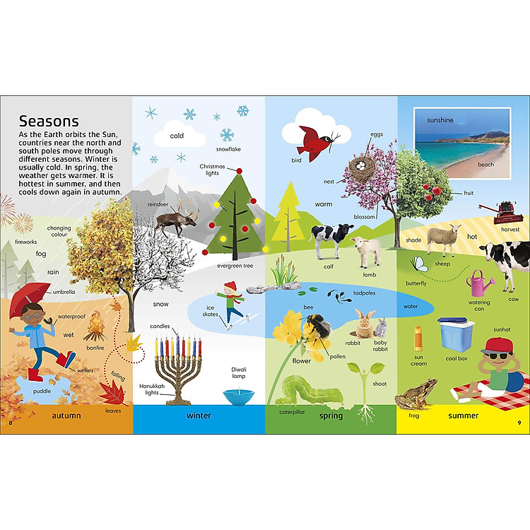 1000 Words: STEM - Ảnh 5