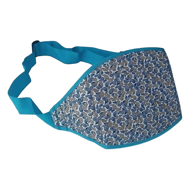 Đai Lớn Bé Đi Xe Hoa Văn Viền Xanh Thái Toàn TT38-1 (45 x 20cm)