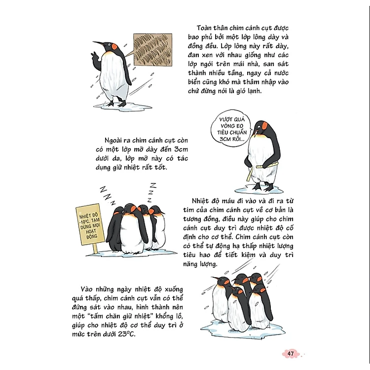 10 Vạn Câu Hỏi Vì Sao - Khoa Học Quanh Ta 2 - Ảnh 4