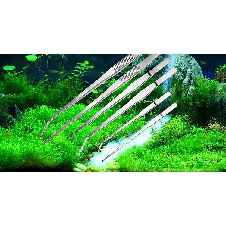 Nhíp trồng cây thủy sinh hồ cá bằng thép không rỉ kích thước 27cm kiểu thẳng và cong- miếng lót chuột