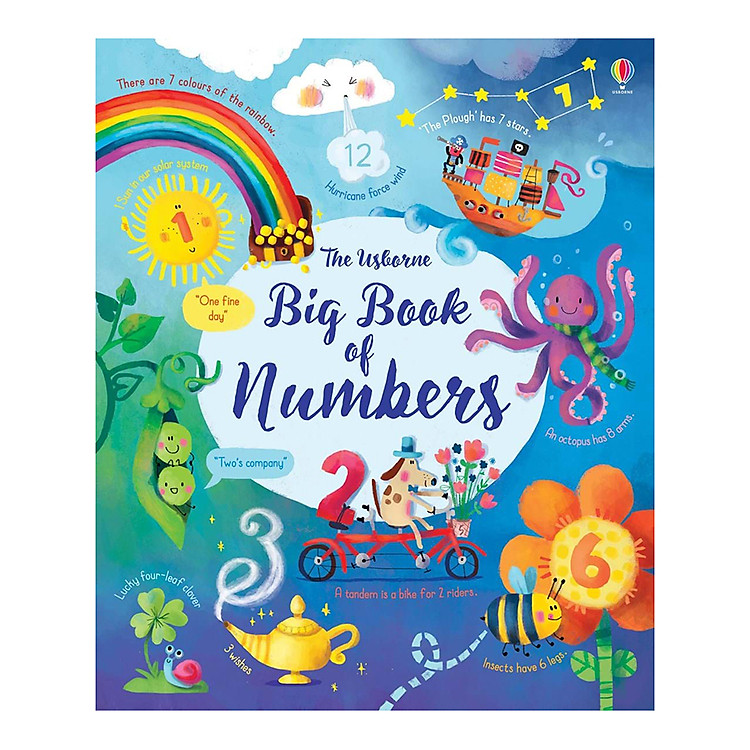 Sách Usborne Big Book Of Numbers