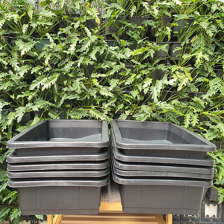 COMBO 10 chậu trồng rau đa năng GREEN KONOHA