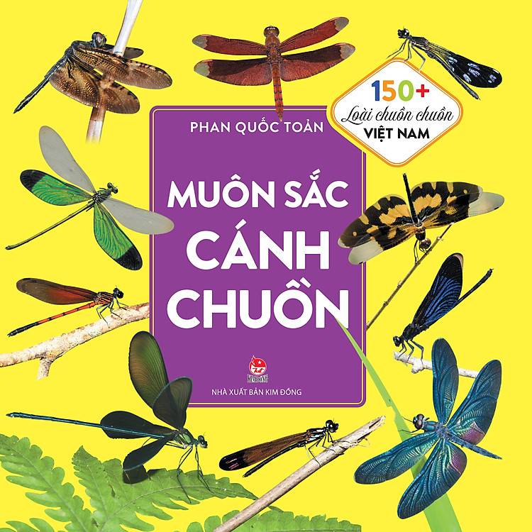 Muôn Sắc Cánh Chuồn: 150+ Loài Chuồn Chuồn Việt Nam