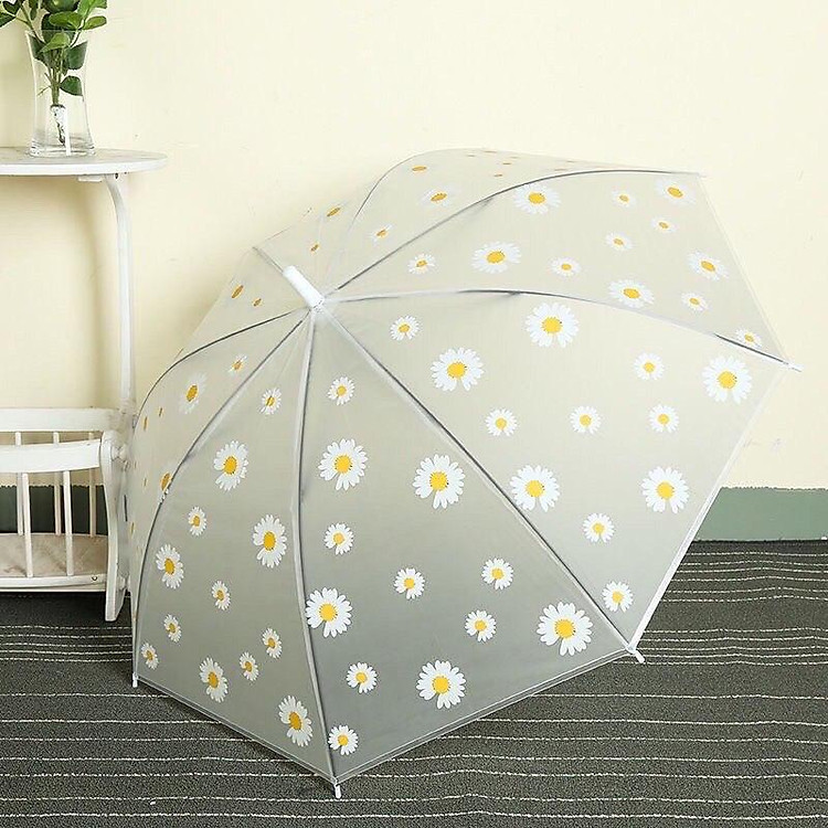 Dù cúc hoạ mi - màu trắng nhám