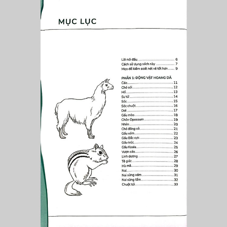 Hướng Dẫn Vẽ 100 Loài Động Vật Hoang Dã - Ảnh 3
