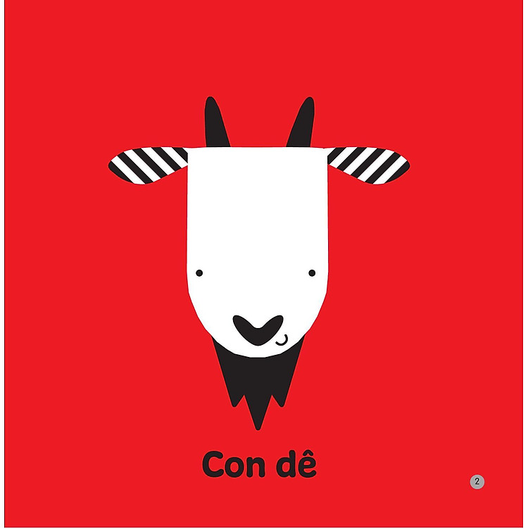 Kích Thích Thị Giác Và Xúc Giác - Động Vật - Ảnh 5