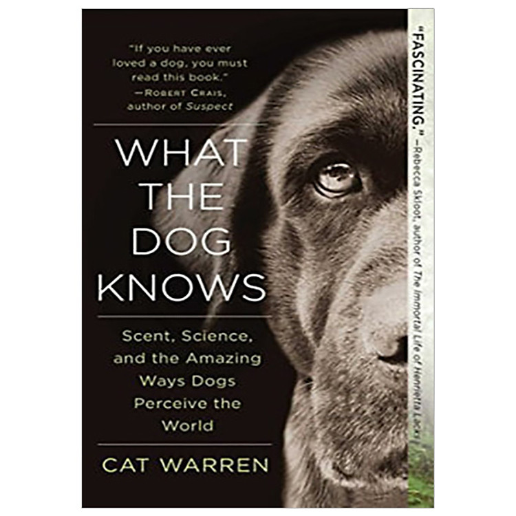 What the Dog Knows