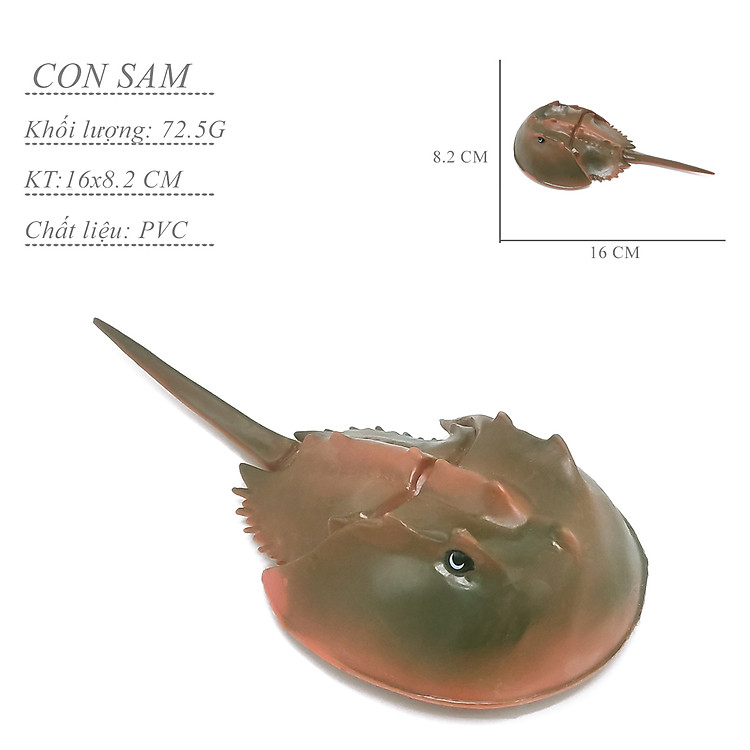 Mua Bộ 6 đồ chơi sinh vật biển cổ đại Chính hãng Giá rẻ - Hình ảnh 3