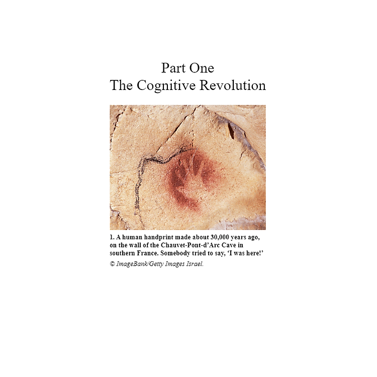 Sapiens: A Brief History of Humankind - Ảnh 2