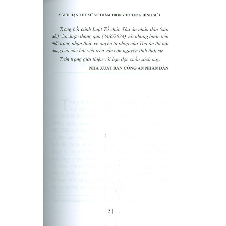 Giới Hạn Xét Xử Sơ Thẩm Trong Tố Tụng Hình Sự - Ảnh 5