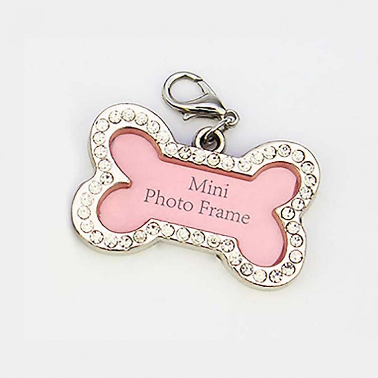 Bảng Tên Cho Thú Cưng Độc Đáo (Giao Màu Ngẫu Nhiên)