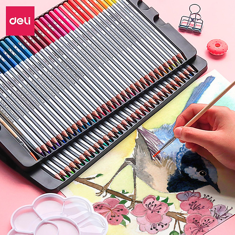 Bút Chì Màu Nước Deli (24 màu) - Ảnh 7