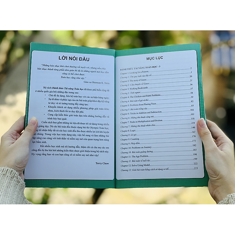 Đánh Thức Tài Năng Toán Học 2, 3, 4, 5 - Ảnh 7