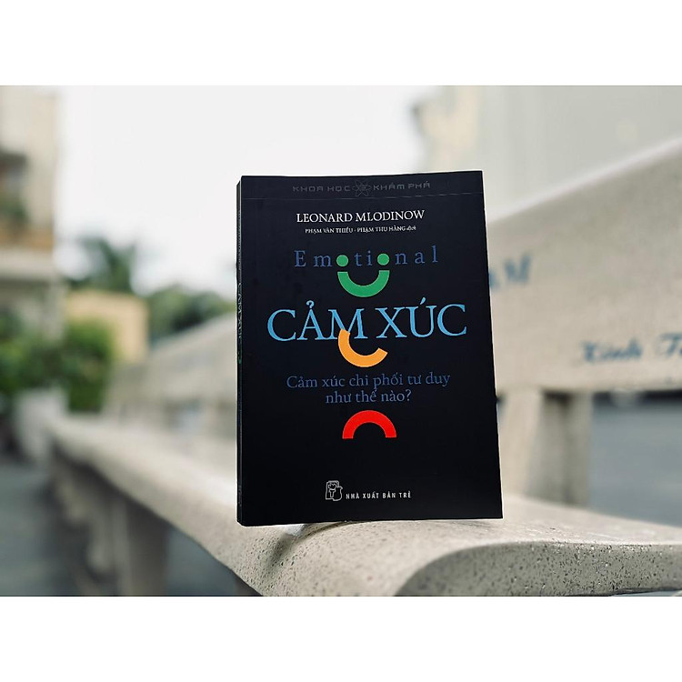 Cảm Xúc - Cảm Xúc Chi Phối Tư Duy Như Thế Nào - Ảnh 3