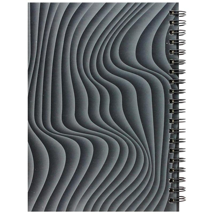 Sổ Lò Xo Bìa Cứng Visual Arts B6 (160 trang 80gsm) - Ảnh 3