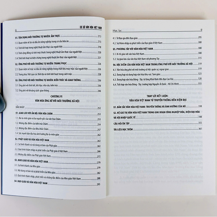 Cơ sở văn hóa Việt Nam - Ảnh 5