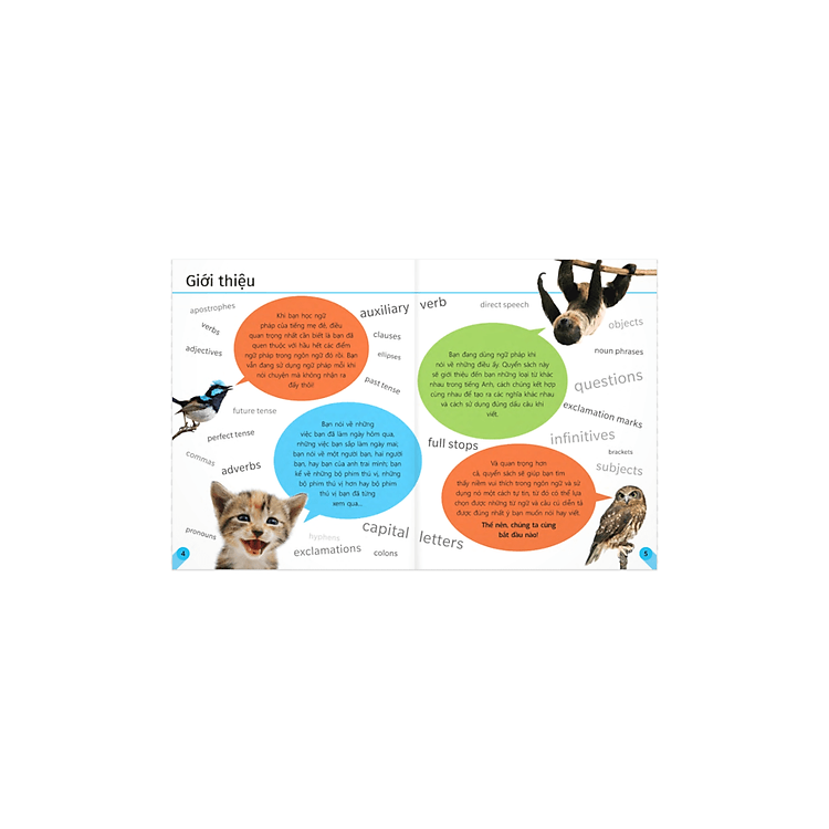 Tham Khảo Trực Quan Về Ngữ Pháp Và Dấu Câu - Ảnh 3