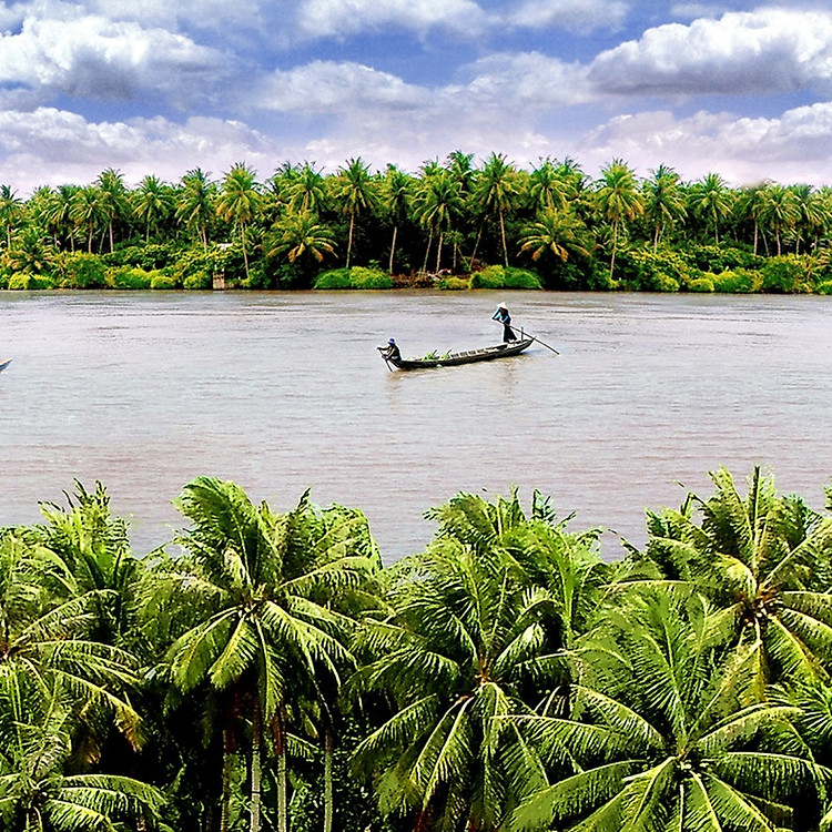Tour Miền Tây Cao Cấp, Mỹ Tho - Bến Tre 01 Ngày, Ăn Trưa, Khởi Hành Hàng Ngày & Dịp Lễ