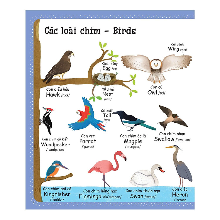 Từ Vựng Đầu Tiên Của Tôi - My First Word Book - Thiên Nhiên - Ảnh 4