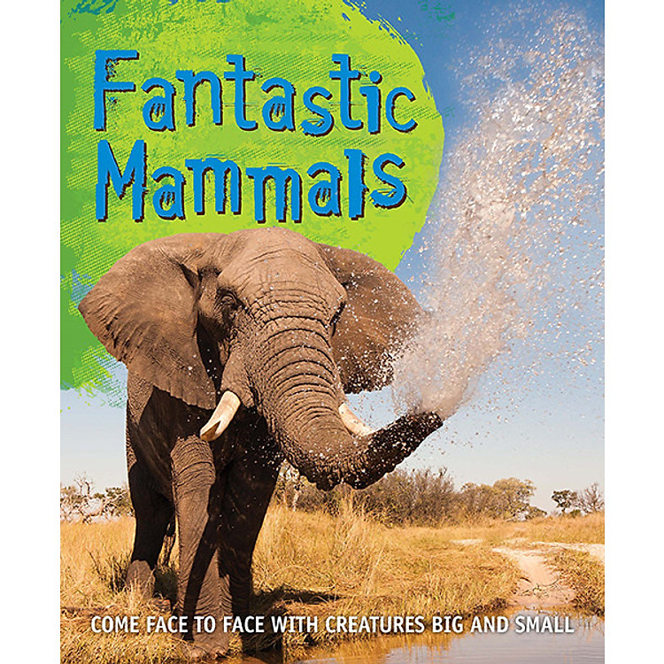 Sách Fast Facts! Fantastic Mammals