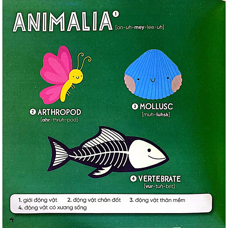 Steam Words Nature - Từ Vựng Về Tự Nhiên - Ảnh 6