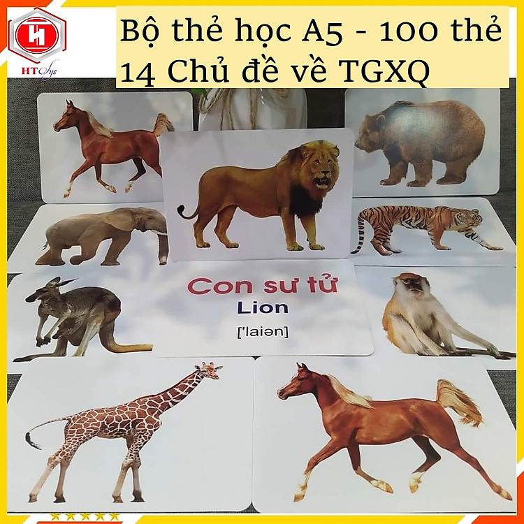 Bộ Thẻ Học Thông Minh Cho Bé (100 thẻ)