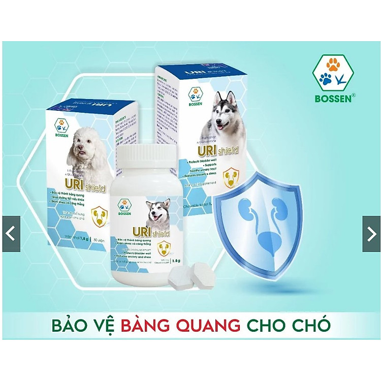 BOSSEN - URI Shield (dogs) Hỗ Trợ Bảo Vệ Bàng Quang cho Chó, giúp Tiết Niệu khỏe - Hộp 12 viên