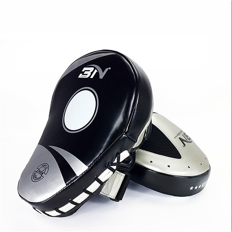 Cặp đích đấm BN chuyên nghiệp