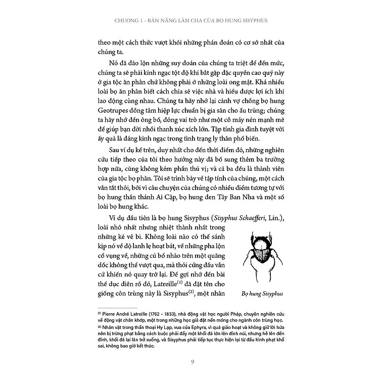 Côn trùng ký tập 6 - Ấn bản đầy đủ - Ảnh 4