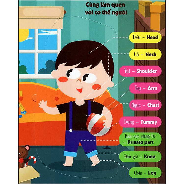 Tương Tác - Lift-The-Flap - Khám Phá Cơ Thể Người - Ảnh 2