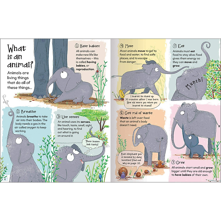 Curious Questions & Answers About Animals - Ảnh 4